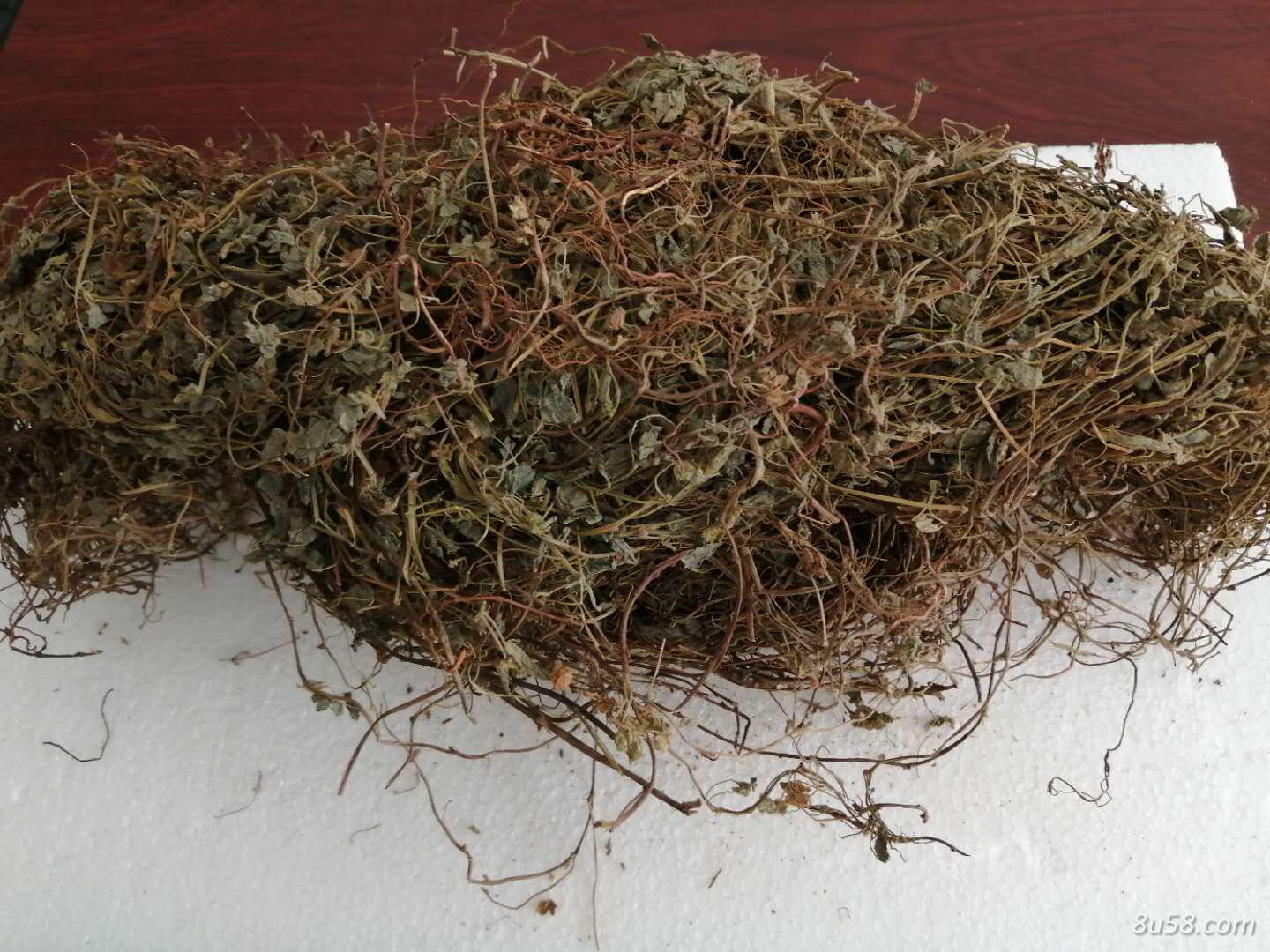 酢浆草