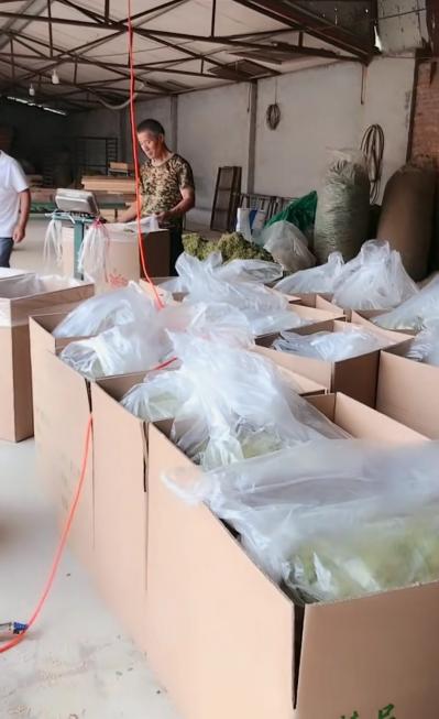 金银花供发货，专供各大药厂、凉茶厂，泡茶-清热-解毒-解暑-降火
