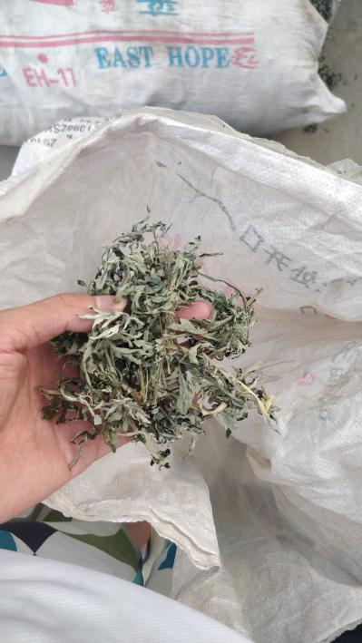 出售干艾蒿叶可常年提供