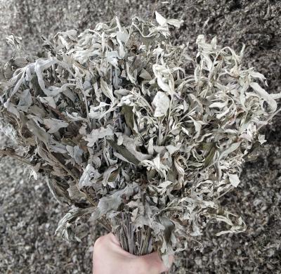 大量现货艾草/艾绒