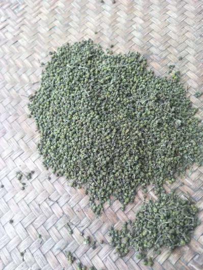 出售中花吴茱萸