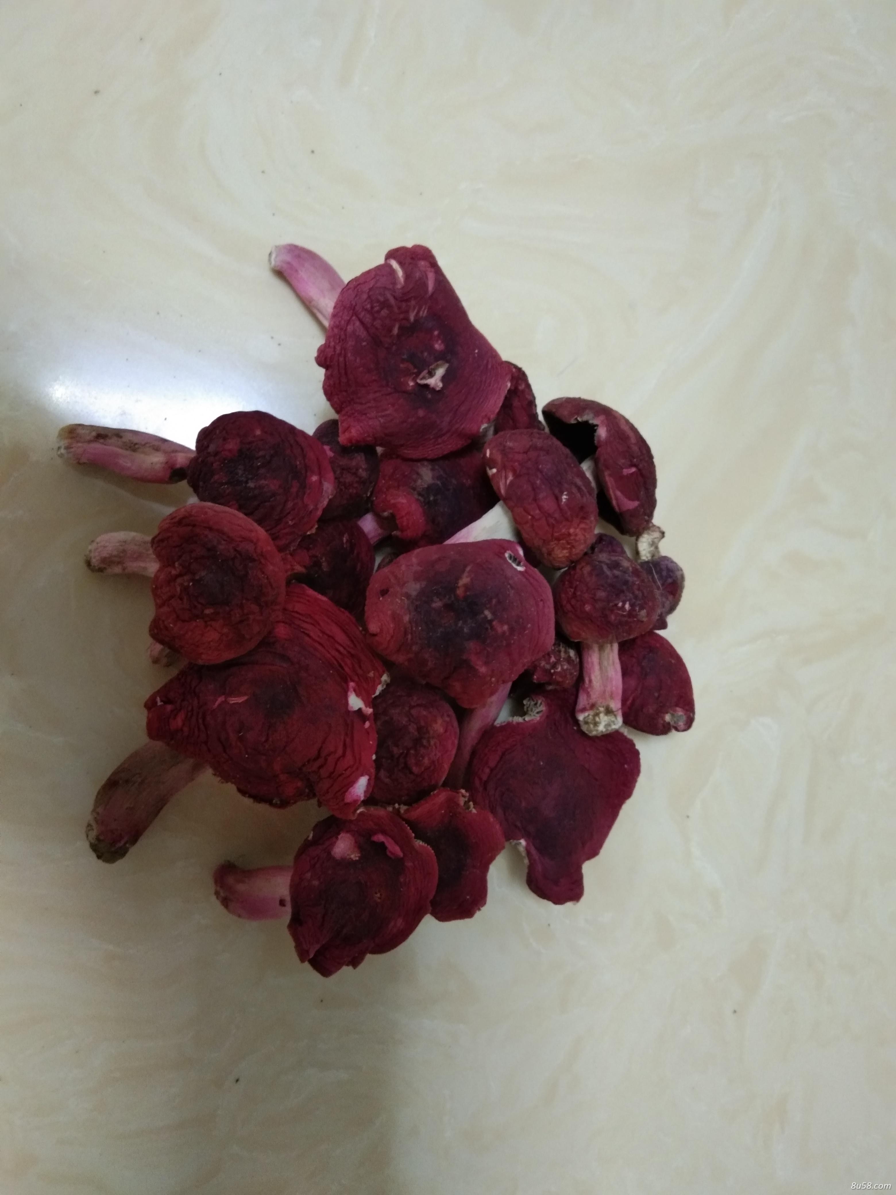 原生态野生红菇