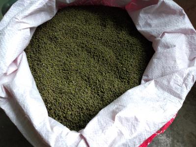 优质药材吴茱萸出售
