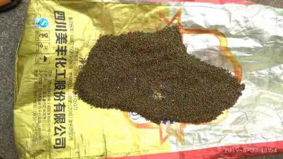 湖南益阳吴茱萸
