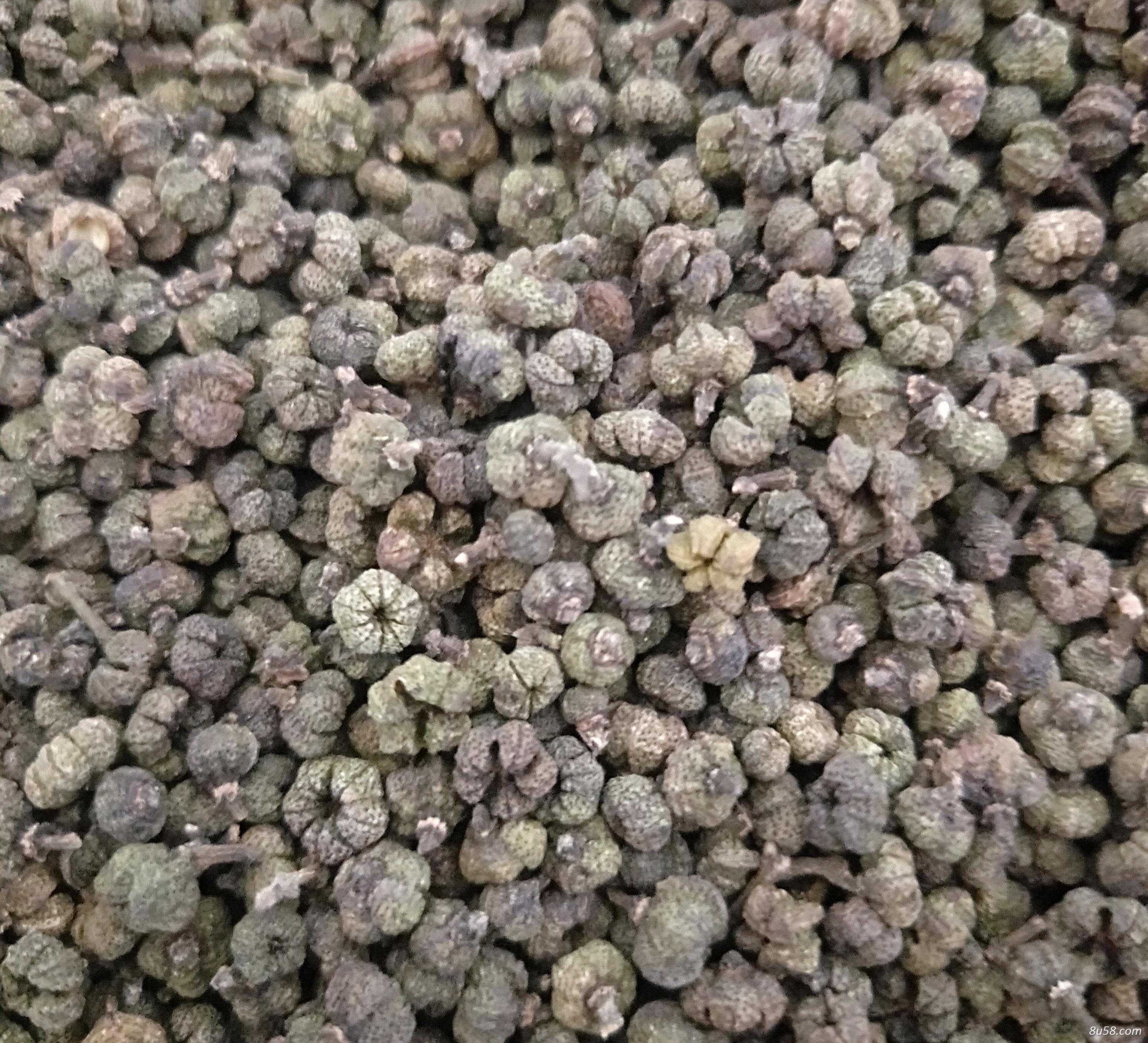 吴茱萸干货