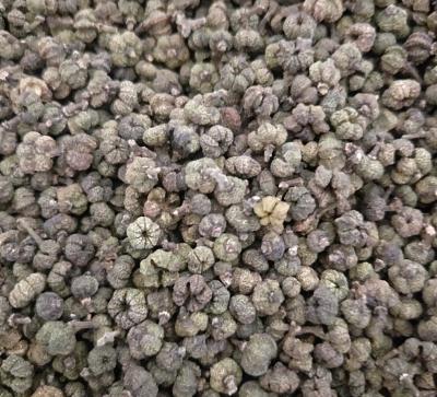吴茱萸干货