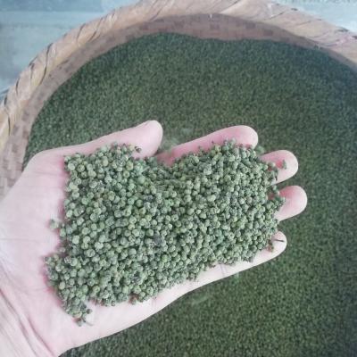 本人出售江西中花吴茱萸