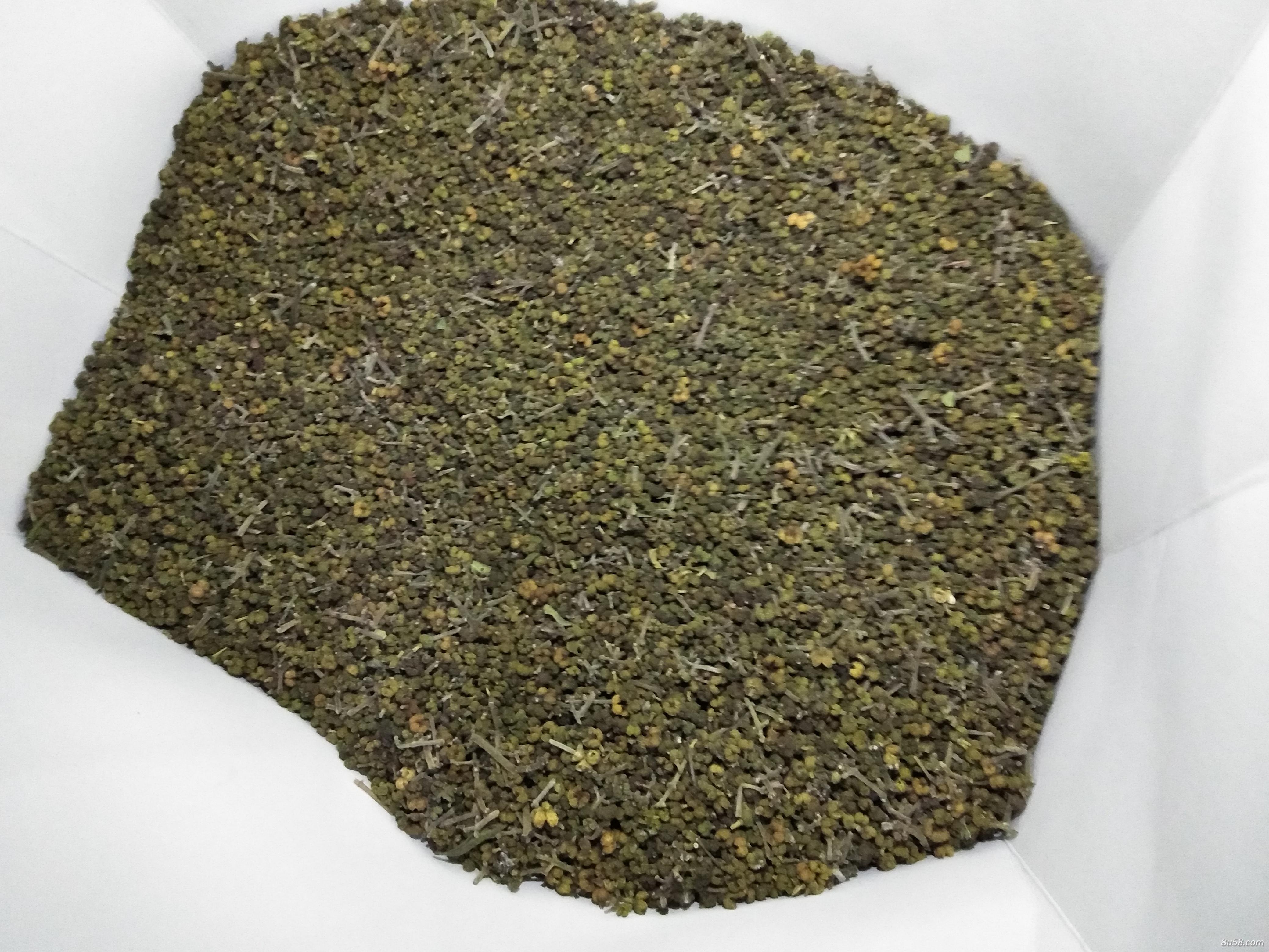 吴茱萸各种规格都有，大量库存