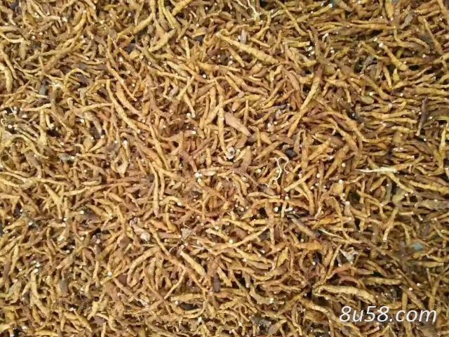 产地一手货源九节菖蒲