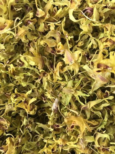 特级正宗铁皮石斛干花今年秋季新花