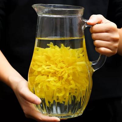 自家种植金丝皇菊