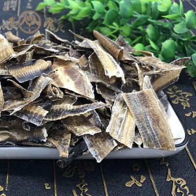 低价地龙蚯蚓干