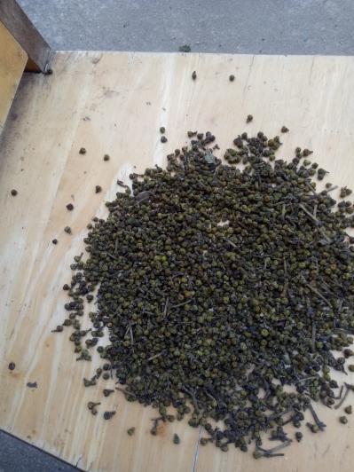 湖南益阳吴萸籽中花大量出售