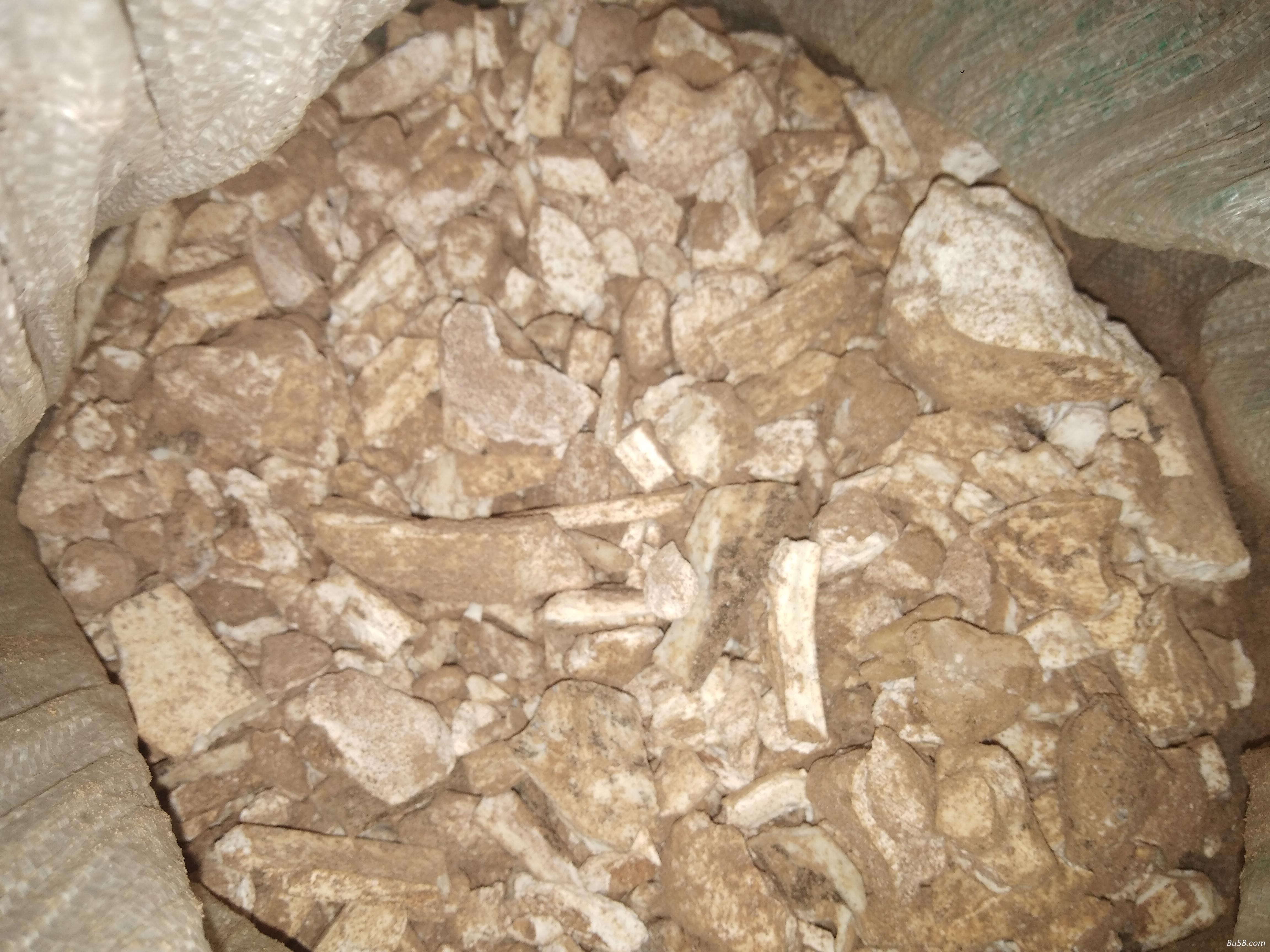 土龙骨，花龙骨