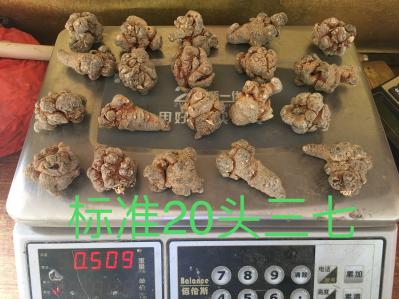云南文山三七大货批发，标准20头，足头。155元/斤，5斤起批。