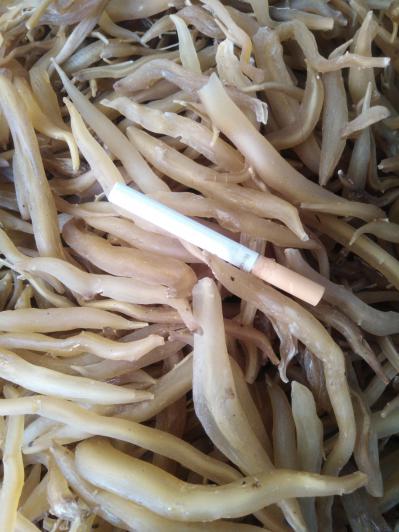 云南大天冬产地直供，货好价实，诚信经营！