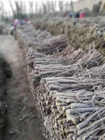 四年甘草好货，欢迎联系