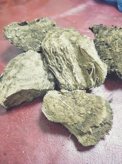 大量野生葛根