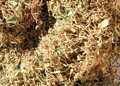 自家金银花无水分花农自售