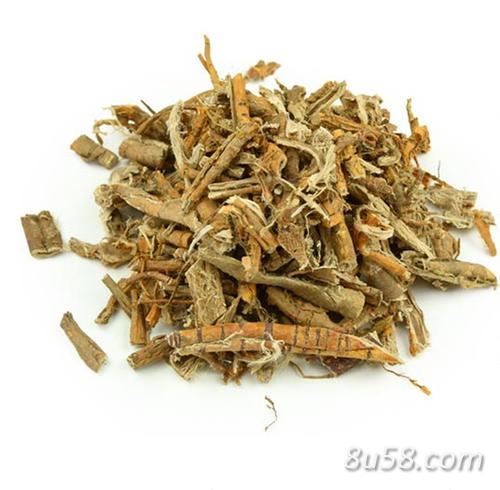 白桑皮根