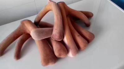 鹿茸