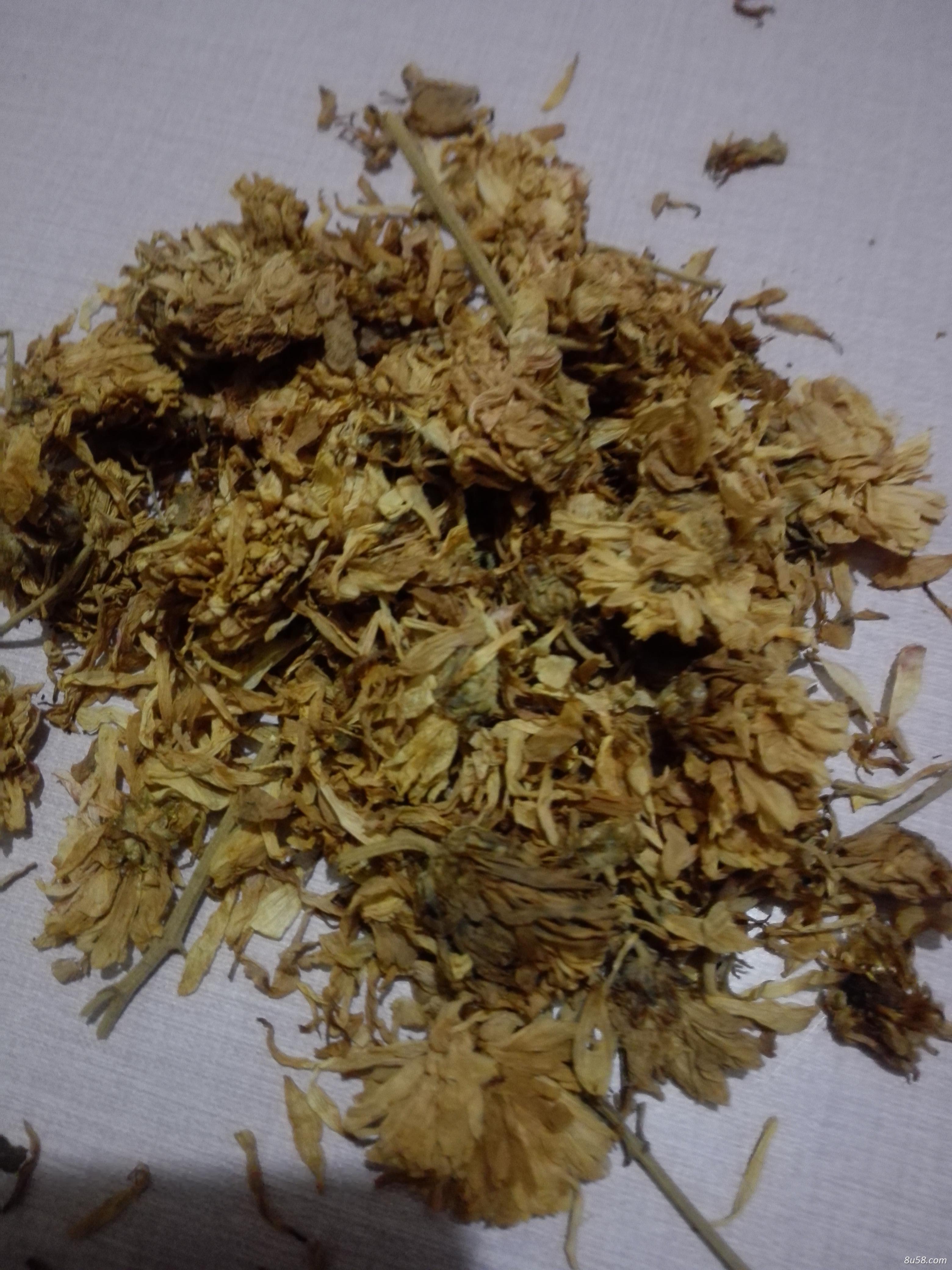 菊花药厂货