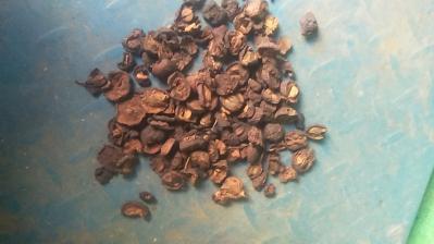大量供应炒山楂