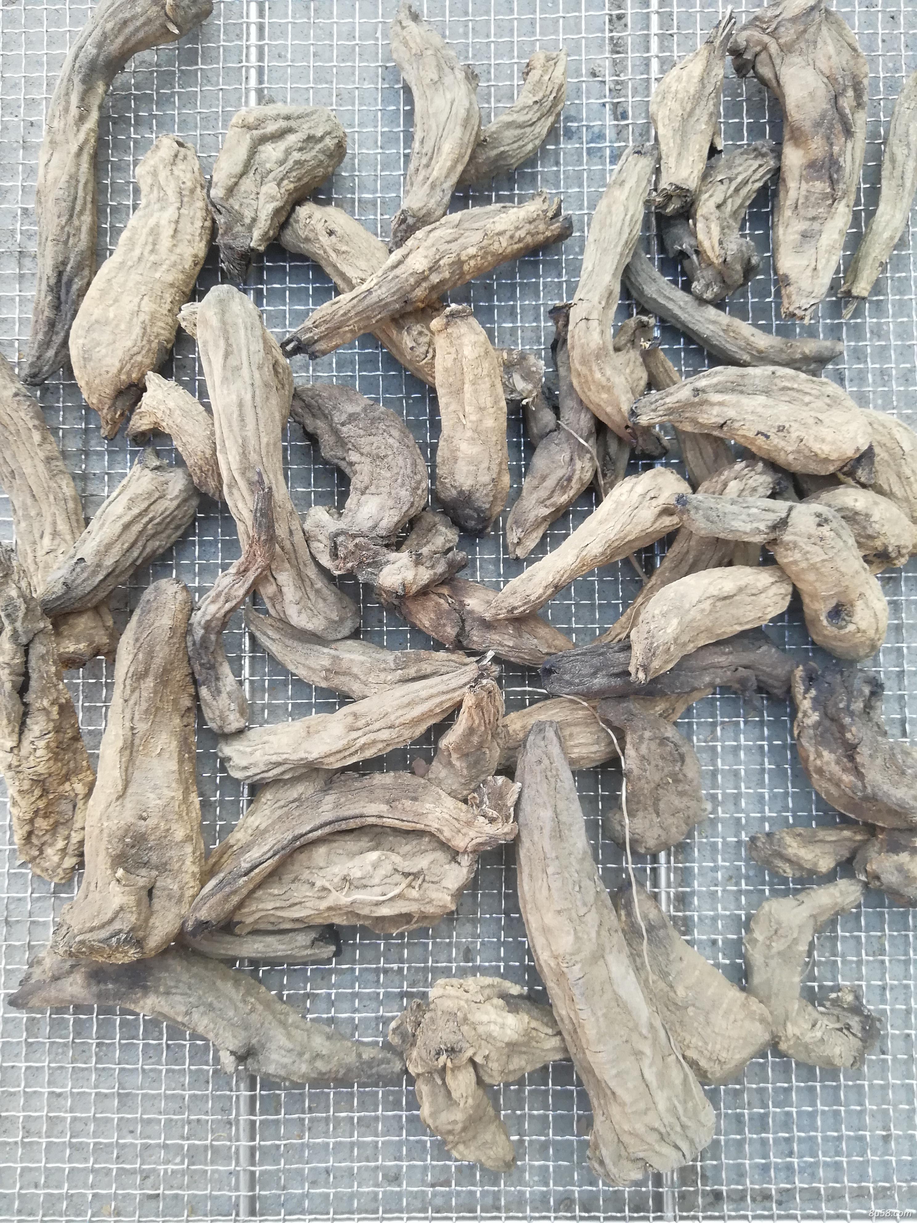 玄参，高含量，品相好
