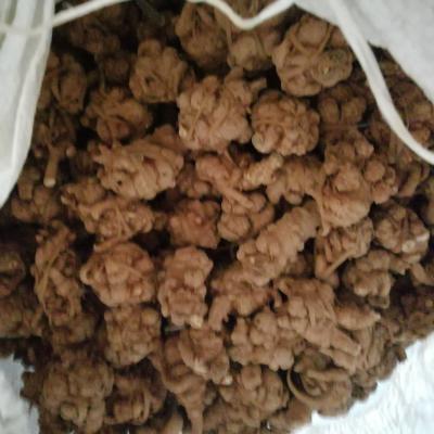 主要经营三七