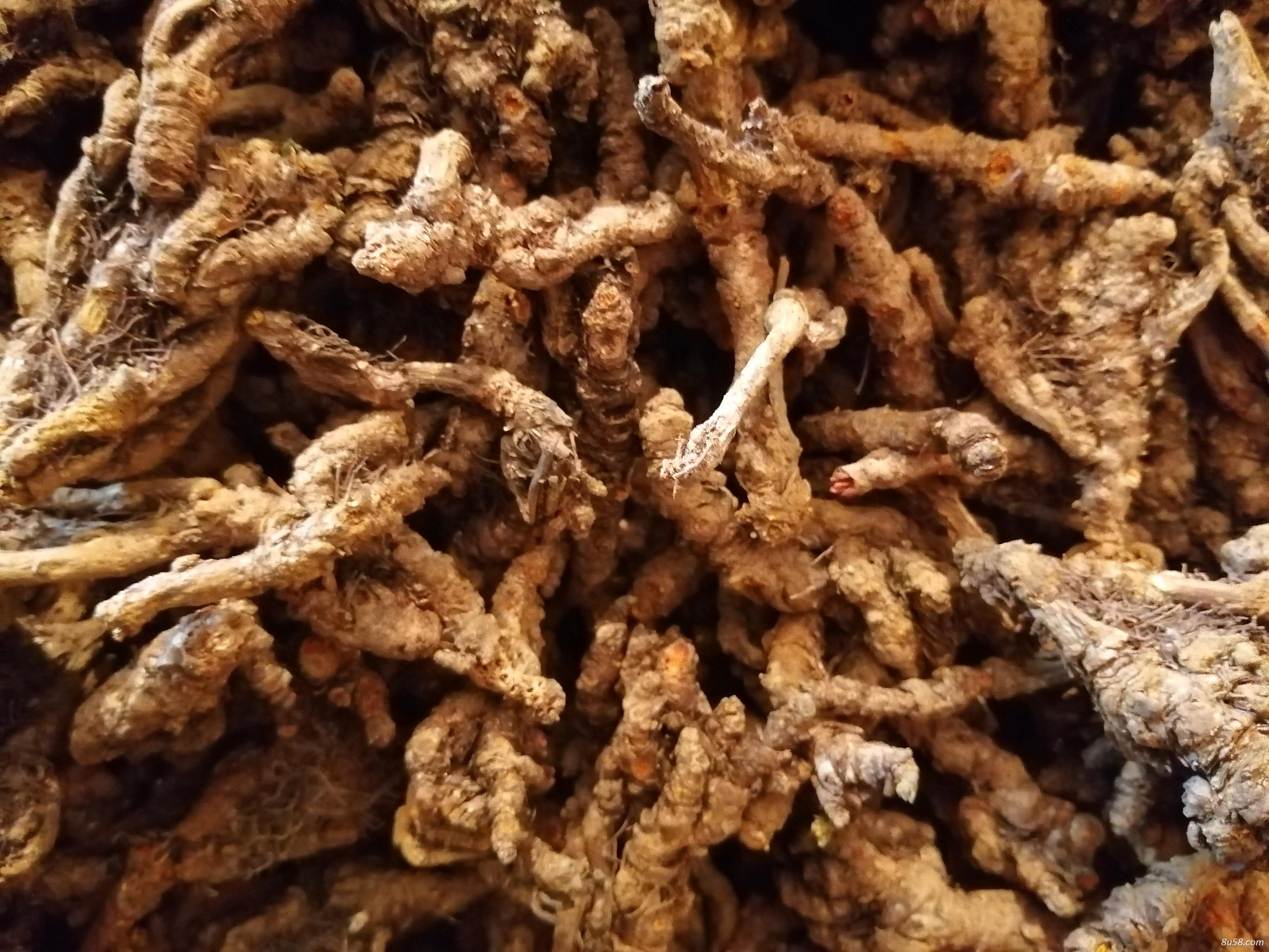 自产自销川味连，刚成品统鲜干货，数量不多，两吨左右，保质保量！有意者联系我！