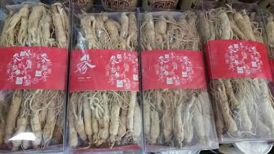 东北干人参