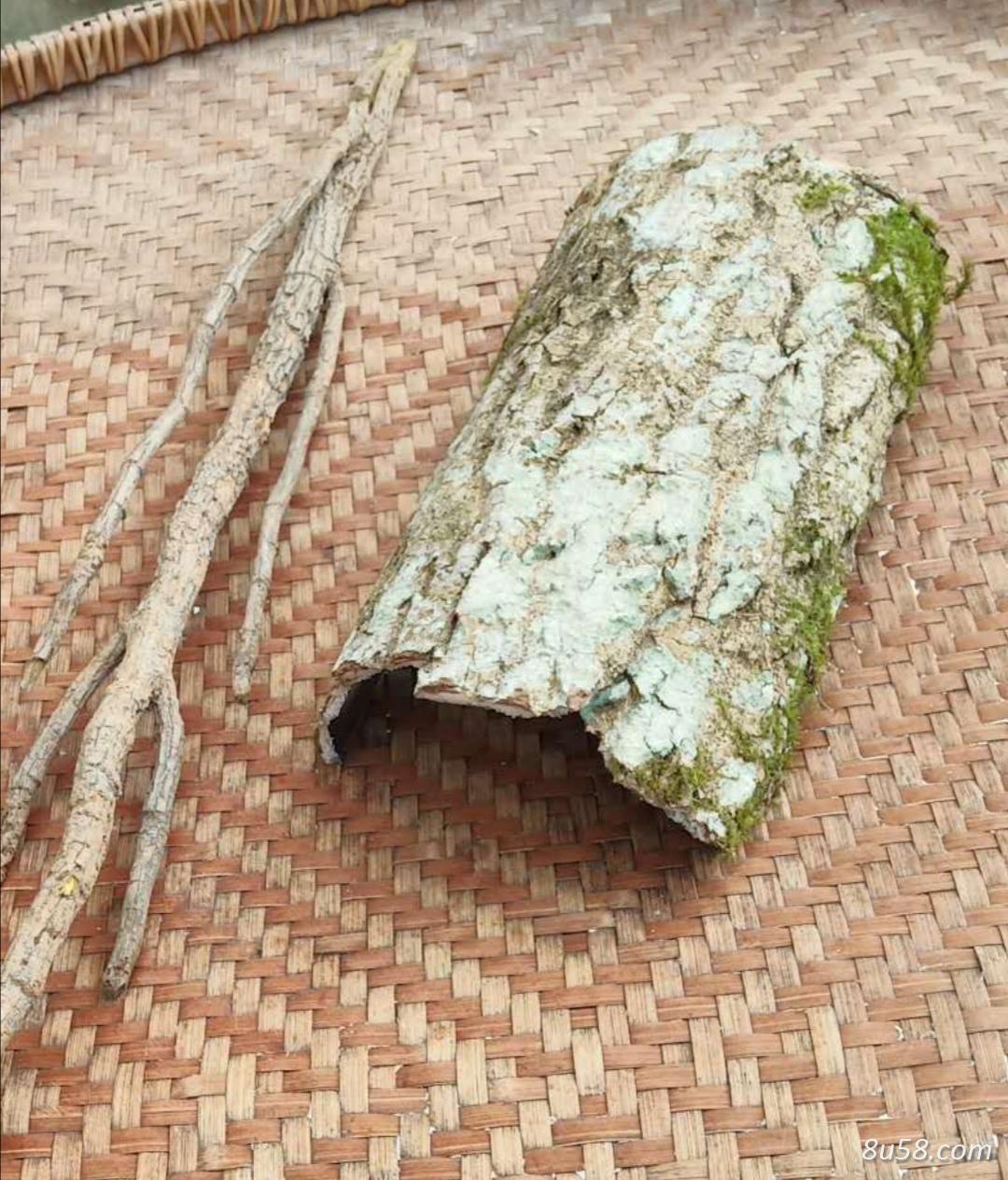 大山原始森林杜仲质量优,批发零售,数量有限提前预定 大山原始森林杜仲质量优,批发零售,数量有限提前预定