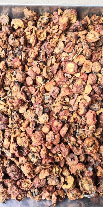 投料山楂 兽药用山楂大货供应