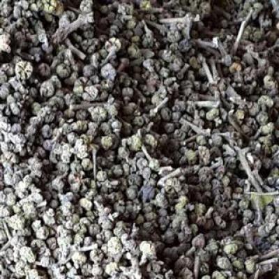 吴茱萸（中花）