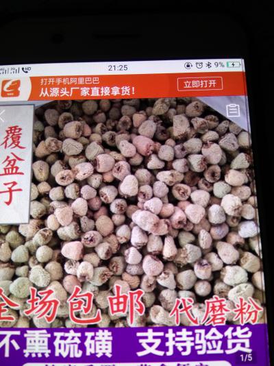 覆盆子