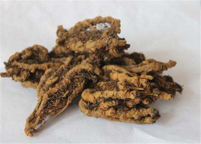黄莲种植户，现有500斤干货