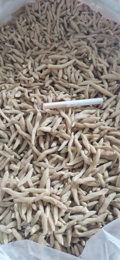 产地直销麦冬，精品无硫麦冬，麦冬草