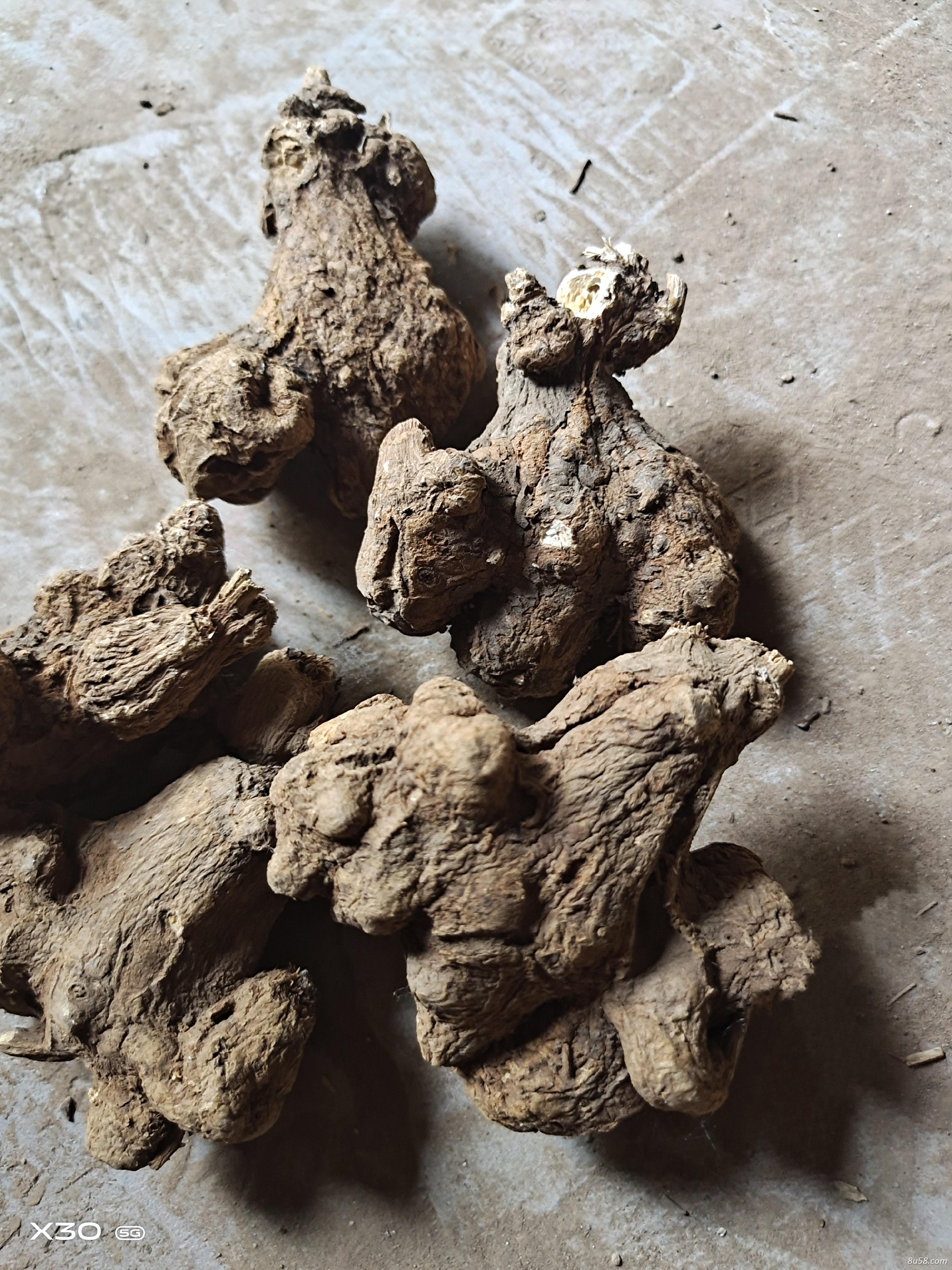 2年无硫白术30吨