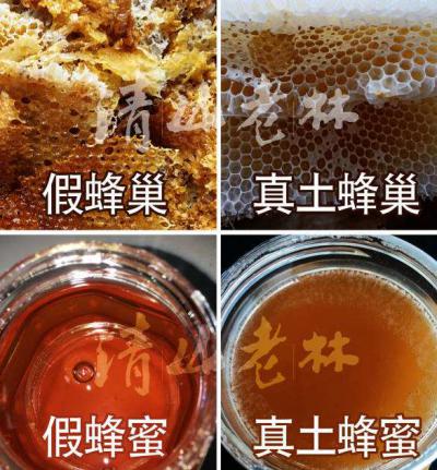 云贵高原贵州省铜仁市内传统养峰天然土蜂蜜