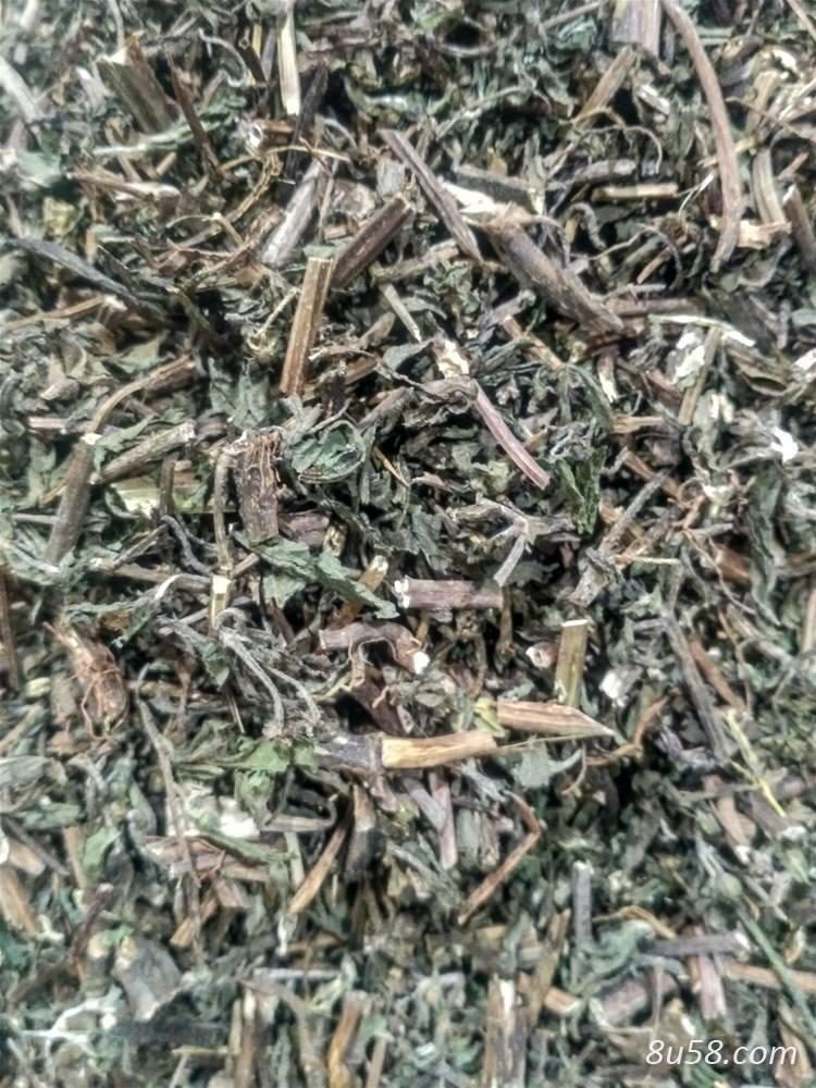 旱莲草