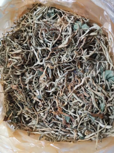出售金银花