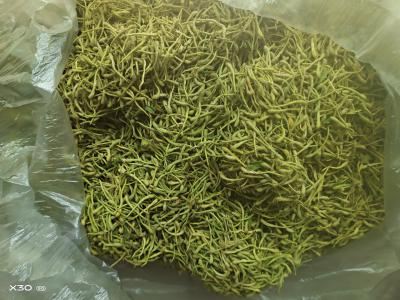 金银花销售