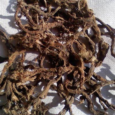 出售石菖蒲广东韶关