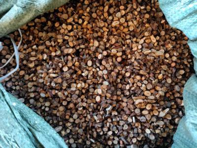 广西肉桂，桂枝粒，桂枝枝，桂皮，桂类