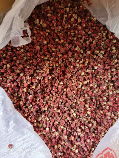 干红花椒供应
