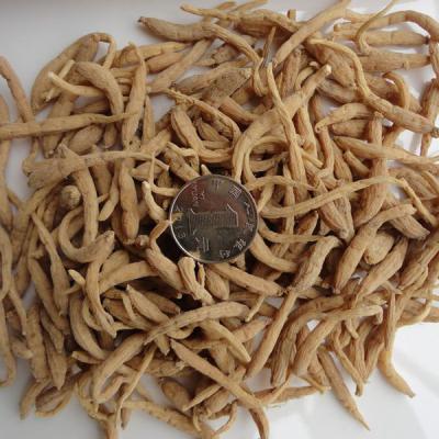 太子参销售