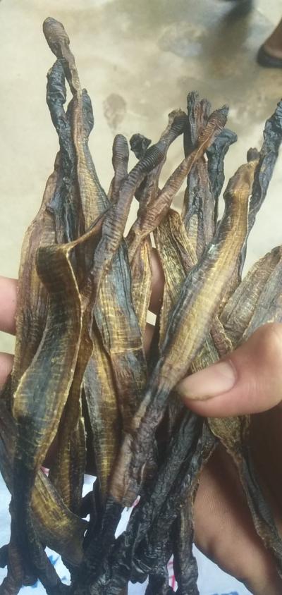 地龙干靓货价格优惠