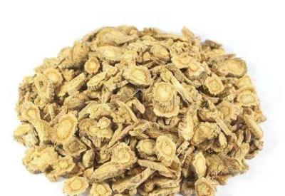 自种20亩防风中药材