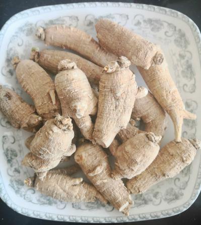 西洋参 硬枝 圆粒 15克左右