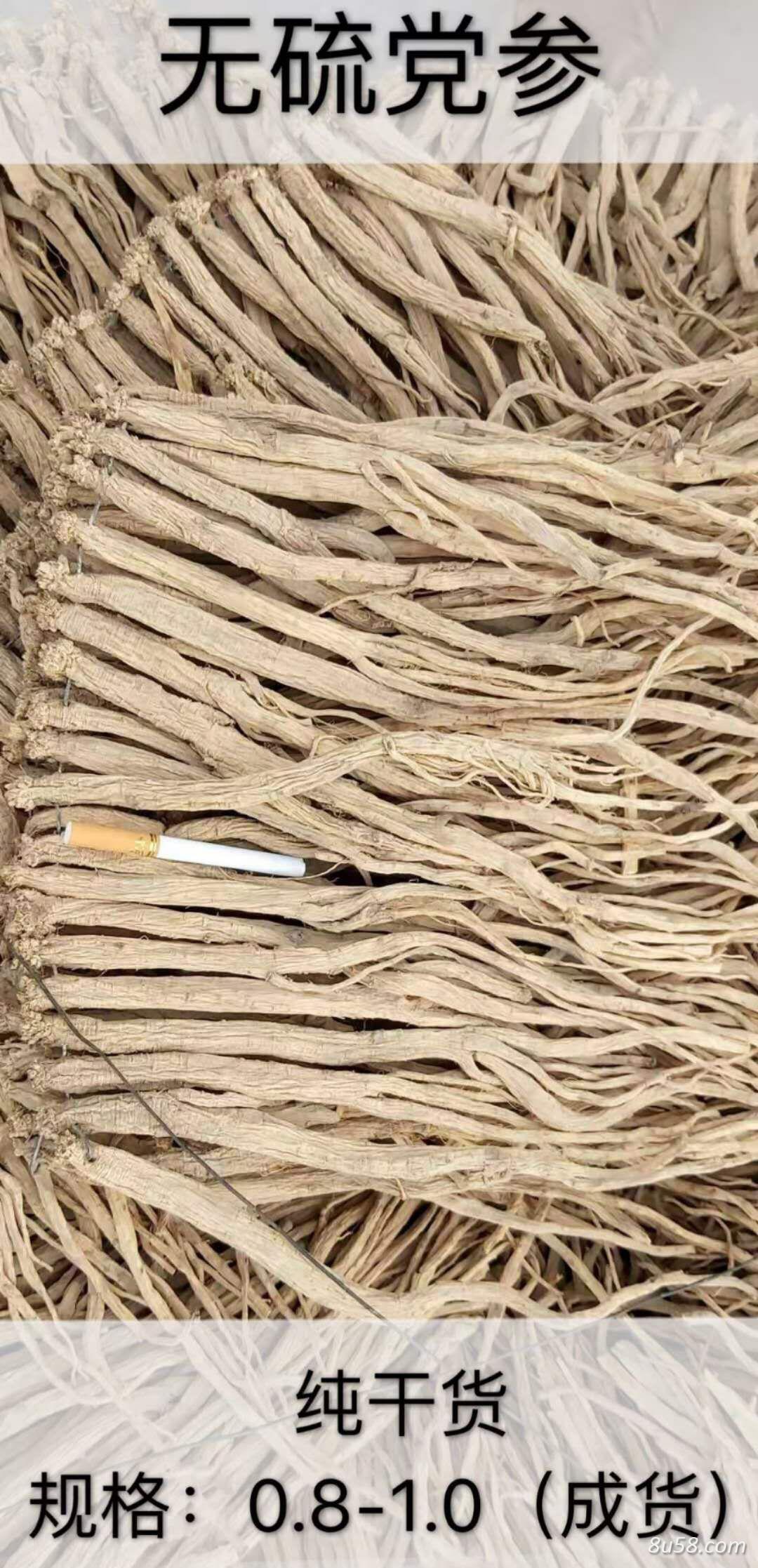 出售大量党参